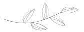 img-leaf